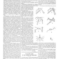 1284 - Page 1274 - Petites cliniques de «la presse médicale». N° 52. A propos d'un cas de narcolepsie. Par André-Thomas... / Anatoxine diphtérique [A. Lutier] / Un procédé rapide de cure radicale des hémorroïdes