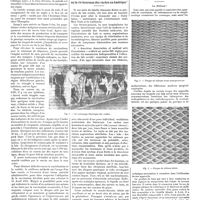 1286 - Page 1276 - Chroniques, variétés et informations. Vaccination et variolisation outre-mer. Vaccin frais et vaccin sec / Bibliographie / Le lait certifié ou la vie heureuse des vaches en Amérique [S. Abbatucci] / Appareils nouveaux. La nidrose