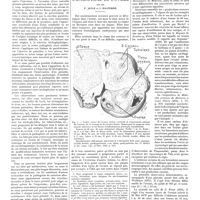 1456 - Page 1446 - Travaux originaux. Travail du service et du laboratoire de M. Ravaut à l'hôpital Saint-Louis. Parakératoses psoriasiformes sèches et levurides. Par MM. Paul Ravaut et Henri Rabeau / L'ostéoplasie de l'ovaire. Par MM. F. Jayle et I. Halpérine