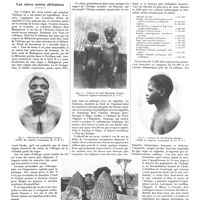 1463 - Page 1453 - Chroniques, variétés et informations. Les races noires africaines