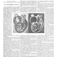 1479 - Page 1469 - Chroniques, variétés et informations. Techniques nouvelles pour l'enseignement des arythmies. La schématisation lumineuse