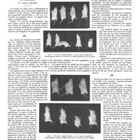 1483 - Page 1473 - Travaux originaux. Sels halogénés de magnésium et cancers. Par Pierre Delbet