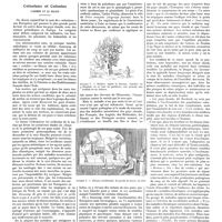 1597 - Page 1587 - Chroniques, variétés et informations. Coloniaux et colonies. L'homme et le milieu