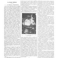 0209 - Page 209 - Chroniques, variétés et informations. Le Brésil médical