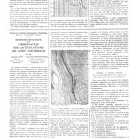 0316 - Page 316 - Travaux originaux. Vaccinothérapie de la fièvre thyphoïde. Par Paul Claisse / Travail de la clinique chirurgicale A, Strasbourg. Directeur : Professeur R. Leriche. Recherches histologiques sur l'innervation des articulations des corps vertébraux. Par MM. Adolphe Jung... et Alexandre Brunschwig...