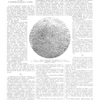 0663 - Page 659 - Travaux originaux. Sur la pathogénie de la péritonite chronique encapsulante. Par MM. P. Wilmoth, Ch. Delval et J. Patel
