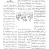 0676 - Page 672 - Travaux originaux. Étude anatomo-clinique des cirrhoses pigmentaires du foie. Leur place dans le cadre nosologique des cirrhoses. Par MM. Maurice Villaret, L. Justin-Besançon et Roger Even