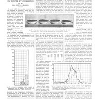 0857 - Page 853 - Travaux originaux. Composés du soufre et croissance. Par MM. Léon Binet et J. Magrou