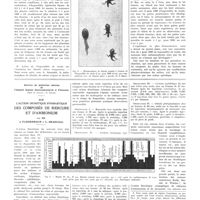 0858 - Page 854 - Travaux originaux. Composés du soufre et croissance. Par MM. Léon Binet et J. Magrou / Service de médecine interne de l'hôpital Szpital Starozakonnych à Varsovie. (Chef de service : G. Lewin). Sur l'action diurétique synergétique des composés de mercure et d'ammonium. Par MM. J. Fliederbaum et L. Krasucka