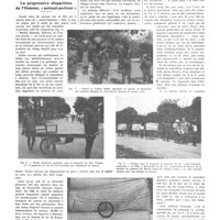 1309 - Page 1297 - Chroniques, variétés et informations. La progressive disparition de l'homme, «animal-porteur»