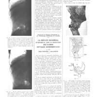 1768 - Page 1752 - Travaux originaux. L'épreuve d'hépato-rétraction à l'adrénaline. Par MM. Ed. Benhamou et R. Marchioni / Travail de la clinique chirurgicale A de Strasbourg, Professeur R. Leriche. Le reflux duodénal intervient-il dans la production des ulcères peptiques expérimentaux ? Par MM. René Fontaine et Jean Kunlin
