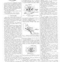 0095 - Page 91 - Notes pratiques de séméiologie. N° 34. Séméiologie des affections du plancher de la bouche et de la langue