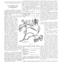 0117 - Page 113 - Chroniques, variétés et informations. Le rôle des jardins d'essais coloniaux dans la pharmacologie française. Les Sterculia kola et tragacantha