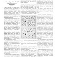 0215 - Page 211 - Notes de médecine pratique - maladies professionnelles - Publiées sous la direction de M. A. Feil. Les hématies à granulations basophiles, symptôme très important du saturnisme