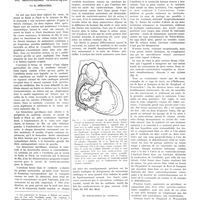 0301 - Page 297 - Travaux originaux. La théorie vestibulaire du mécanisme cardiaque. Par E. Géraudel