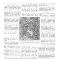 0386 - Page 382 - Travaux originaux. Le réticulo-sarcome de la rate. Par MM. Henri Stevenin, André Bergeret, Guy Albot et Jean Lelourdy