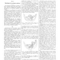0419 - Page 415 - Notes pratiques de séméiologie. N° 41. Séméiologie des prolapsus génitaux