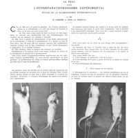0781 - Page 777 - Travaux originaux. La peau dans l'hyperparathyroïdisme expérimental. Étude de la sclérodermie expérimentale. Par MM. R. Leriche, A. Jung et C. Sureyya