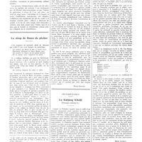 0816 - Page 812 - Petites cliniques de «La presse médicale». N° 328. Syphilis méconnue à localisation multiples. Par Georges Basch... / Le sirop de fleurs de pêcheur [Henri Leclerc] / Phytodiététique. Le Katjang Kitsijl (Phaseolus radiatus L.) [Henri Leclerc]