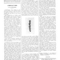 0828 - Page 824 - Travaux originaux. L'ostéotomie courbe de l'os coxal comme traitement de l'ankylose de la hanche vicieusement consolidée. Procédé personnel. Par Al. D. Radulesco... / L'embolectomie. Par P.-J. Feitelberg / Bibliographie