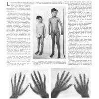 0946 - Page 942 - Travaux originaux. Un macrogenitosome gynandre. Par E. Sorrel et Mme Sorrel-Dejerine