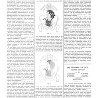 0990 - Page 982 - Travaux originaux. Des zones vulnérables du grêle dans les traumatismes fermes de l'abdomen. Par MM. C. Vergoz... Homar et Ricard... / Les spasmes faciaux d'origine dentaire. Par MM. J. Bercher..., B. Pommé... et J. Duguet...