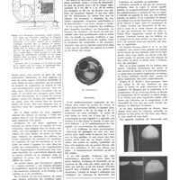 1042 - Page 1034 - L'hygiène à bord de Normandie / Eclairage / Aération. Chauffage. Conditionnement de l'air