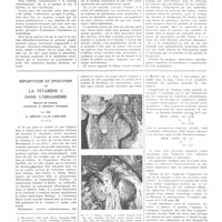 1095 - Page 1085 - Travaux originaux. La paralysie du système vasomoteur par les solvants volatils industriels (Benzol, éther de pétrole, acétate d'amyle, vernis cellulosique). Par Lucien Dautrebande... / Répartition et évolution de la vitamine C dans l'organisme. Notions de carence, précarence et déficience chimique, par MM. A. Giroud et C.-P. Leblond