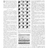 1544 - Page 1546 - Travaux originaux. Tonus et rétraction passive du coeur. Par R. Lutembacher