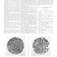 1794 - Page 1800 - Travaux originaux. Sur la mise en évidence du virus tuberculeux par l'extrait acétonique de bacilles de Koch. (Valeur et signification des résultats obtenus). Par MM. L. Nègre et J. Bretey / Bibliographie