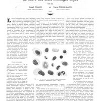1838 - Page 1845 - Travaux originaux. Le monocyte dans le L.C.R. au cours des états méningés aigus. Par MM. Joseph Chalier... et Pierre Étienne-Martin...