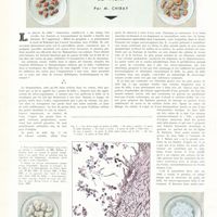 1841 - Page 1848 - Travaux originaux. Le kéfir. Par M. Chiray