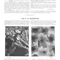 1856 - Page 1863 - Inrô et Nétsuké [Sasaki] / L'art et la micrographie