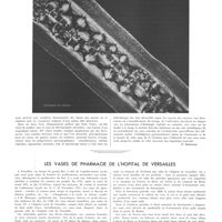 1857 - Page 1864 - L'art et la micrographie [P. Desfosses] / Les vases de pharmacie de l'hôpital de Versailles