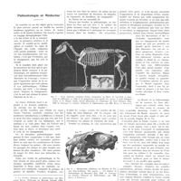 2050 - Page 2061 - Chroniques, variétés et informations. Paléontologie et médecine