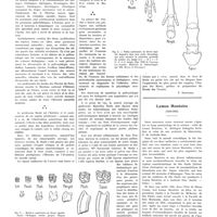 2051 - Page 2062 - Chroniques, variétés et informations. Paléontologie et médecine / Lemos Monteiro (1893-1935) [Nécrologie]