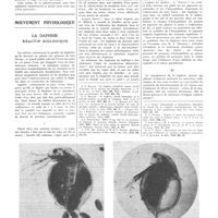 0195 - Page 191 - Travaux originaux. L'action de la phrénicectomie sur les sécrétions broncho-pulmonaires et son mécanisme. Par MM. C. Bibicescu... et Gh. Polatos... / Mouvement physiologique. La daphnie réactif biologique