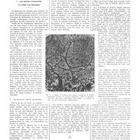 0591 - Page 587 - Travaux originaux. Intérêt de l'étude des lipidoses pour la neuro-pathologie. I. Les lipidoses à phosphatides. Par Ludo van Bogaert