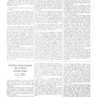 0688 - Page 684 - Travaux originaux. L'admission aux fonctions publiques des tuberculeux guéris. Par E. Rist / Kystes hydatiques de la rate splénectomie. Par P. L. Mirizzi...