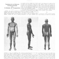 0695 - Page 691 - Chroniques, variétés et informations. Variations de la médecine Extrême-Orientale dans le domaine de l'acupuncture