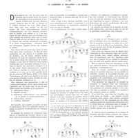 1049 - Page 1023 - Travaux originaux. A propos des 5 familles dont 34 membres sur 86 sont atteints de maladie de Lobstein. Par MM. G. Carrière, E. Delannoy et Cl. Huriez...