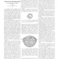 1109 - Page 1083 - Travaux originaux. L'induction organisatrice et le problème du cancer. Par J. Jolly...