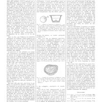 1110 - Page 1084 - Travaux originaux. L'induction organisatrice et le problème du cancer. Par J. Jolly... / Bibliographie