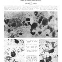 1397 - Page 1371 - Travaux originaux. La toxi-infection gonococcique expérimentale et son traitement chimiothérapie. Par MM. C. Levaditi et A. Vaisman