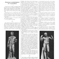 1457 - Page 1431 - Chroniques, variétés et informations. Remarques morphologiques sur le Doryphore