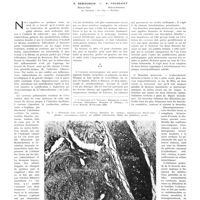 1765 - Page 1739 - Travaux originaux. Nécroses tuberculeuses et cavernes pulmonaires. Processus de guérison. Par MM. G. Derscheid... et P. Toussaint...