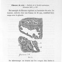 0023 - Page 23 - Travaux scientifiques. IV. Thorax