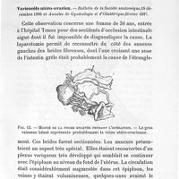 0031 - Page 31 - Travaux scientifiques. VII. Organes génitaux