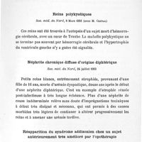 0043 - Page 43 - Travaux scientifiques. VI. Reins et capsules surrénales