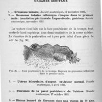 0056 - Page 56 - Travaux scientifiques. Organes génitaux